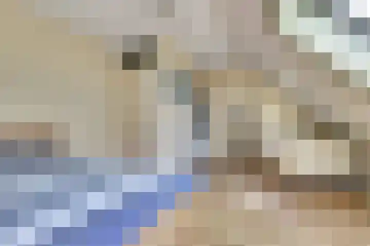 Venkeldonk 25 Spijkenisse thumbnail 26