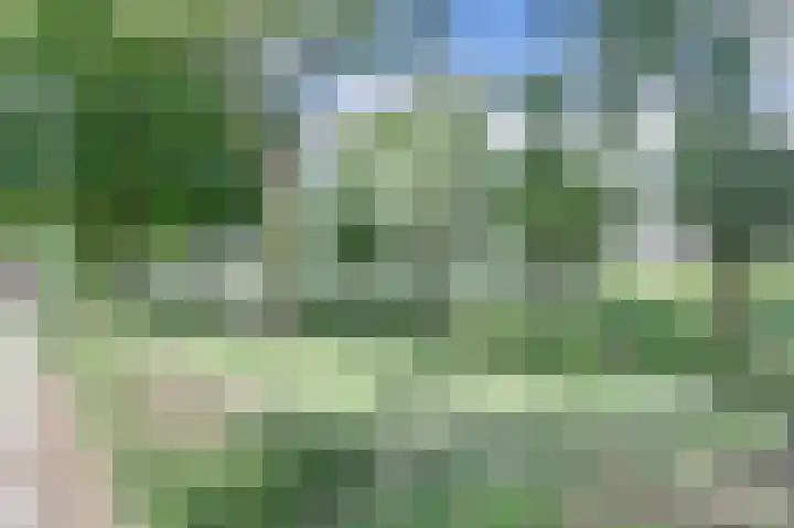 Venkeldonk 25 Spijkenisse thumbnail 31