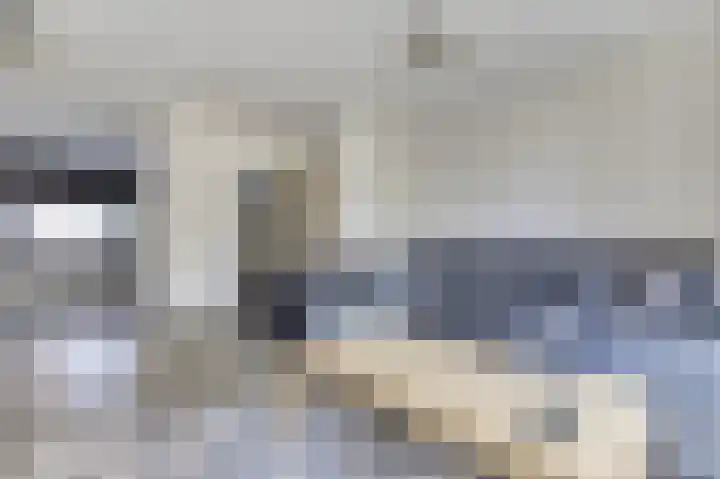 Venkeldonk 25 Spijkenisse thumbnail 6