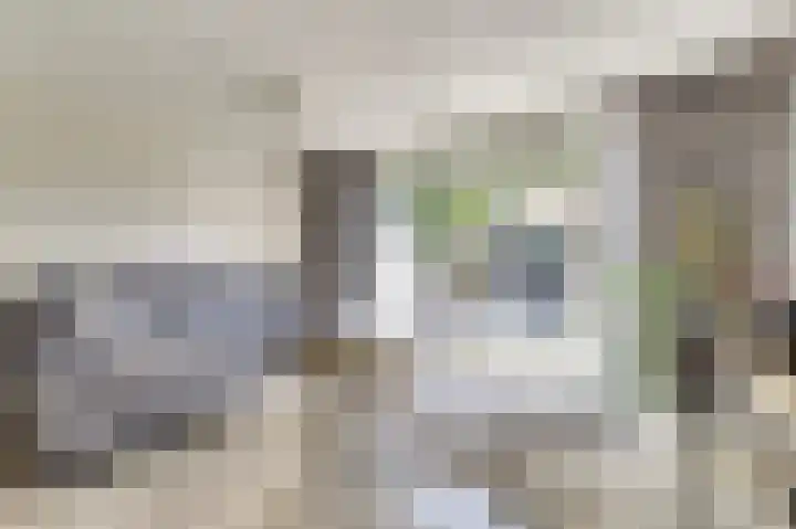 Venkeldonk 25 Spijkenisse thumbnail 8
