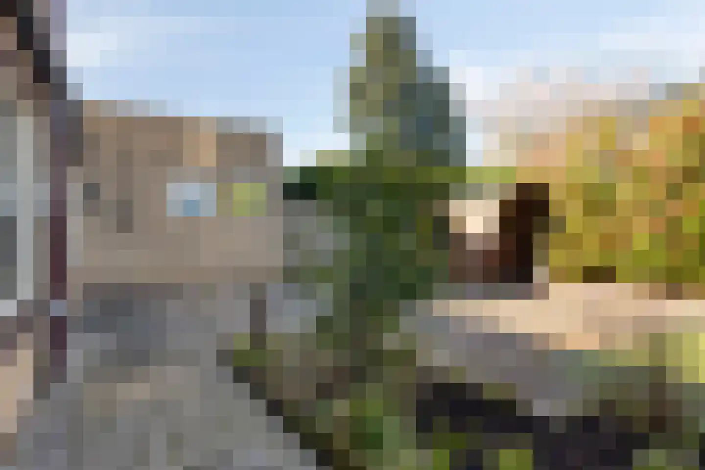Venkelhof 47 Oosterhout thumbnail 22