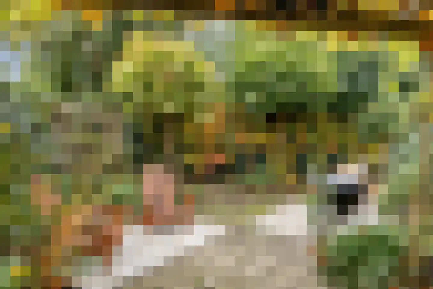 Venkelhof 72 Oosterhout thumbnail 25