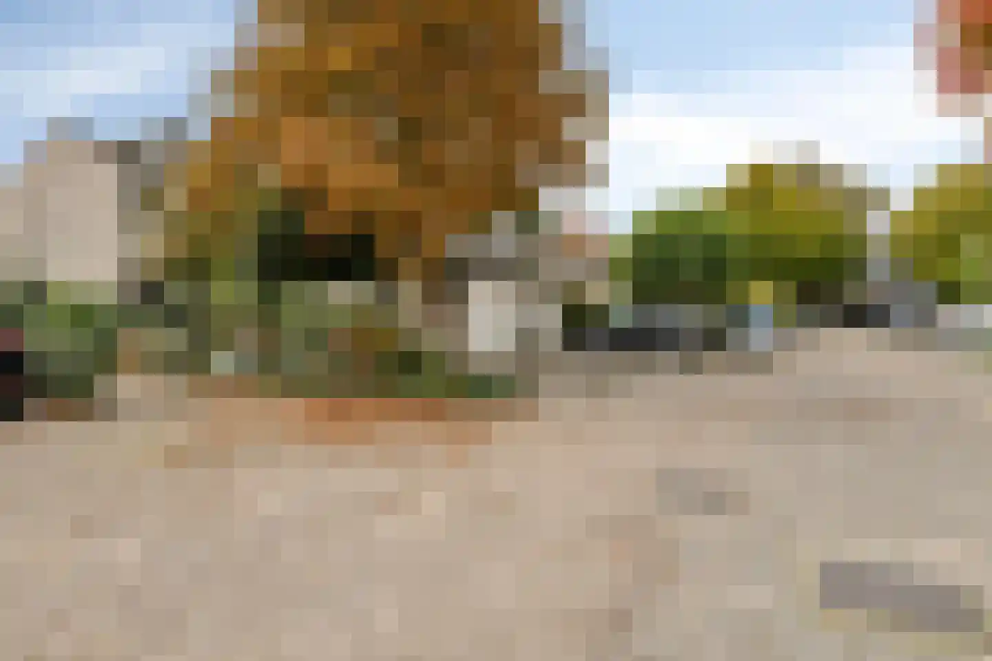 Venkelhof 72 Oosterhout thumbnail 31