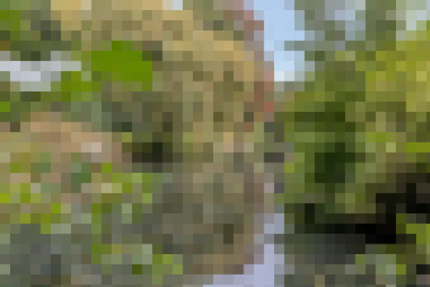 Venkelhof 72 Oosterhout thumbnail 32