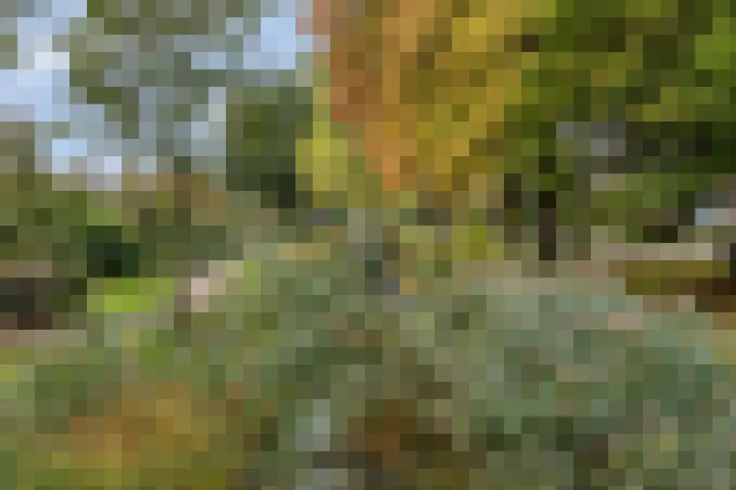 Venkelhof 72 Oosterhout thumbnail 35