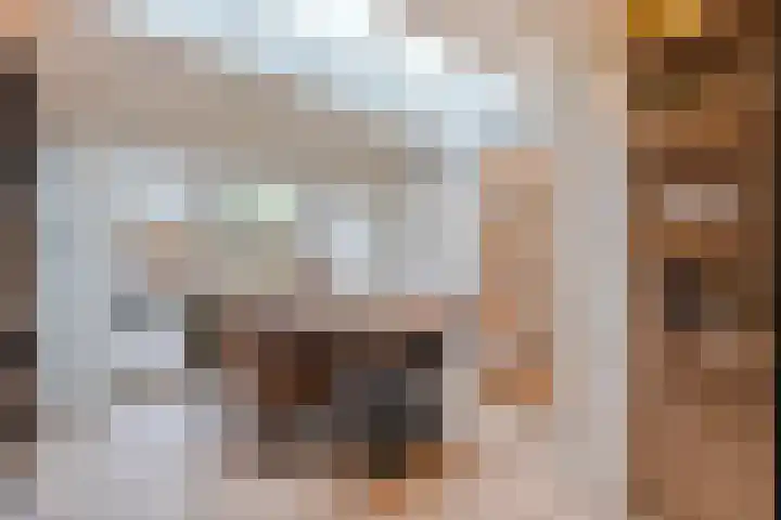 Venkellaan 20 Wierden thumbnail 11