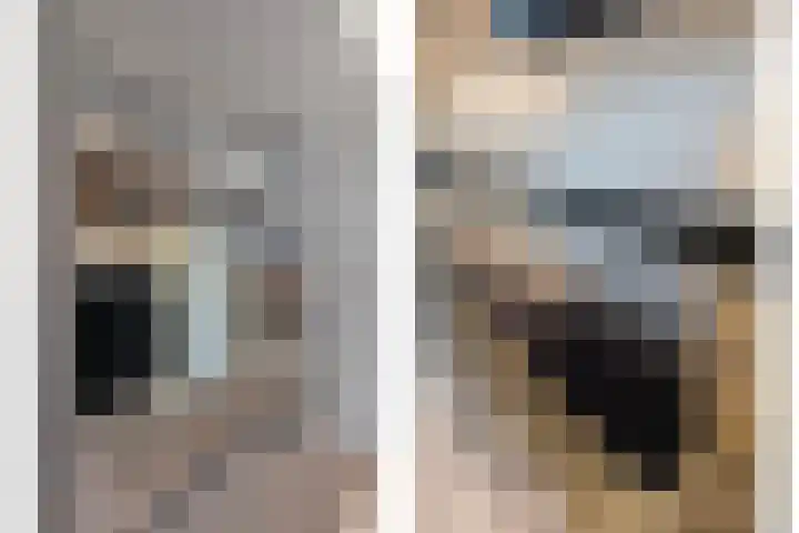 Venkellaan 20 Wierden thumbnail 12