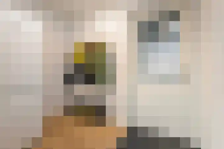 Venkellaan 20 Wierden thumbnail 14