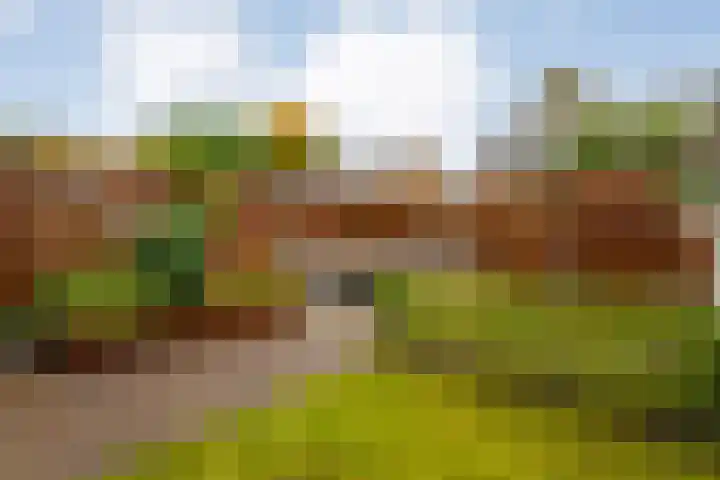 Venkellaan 20 Wierden thumbnail 26