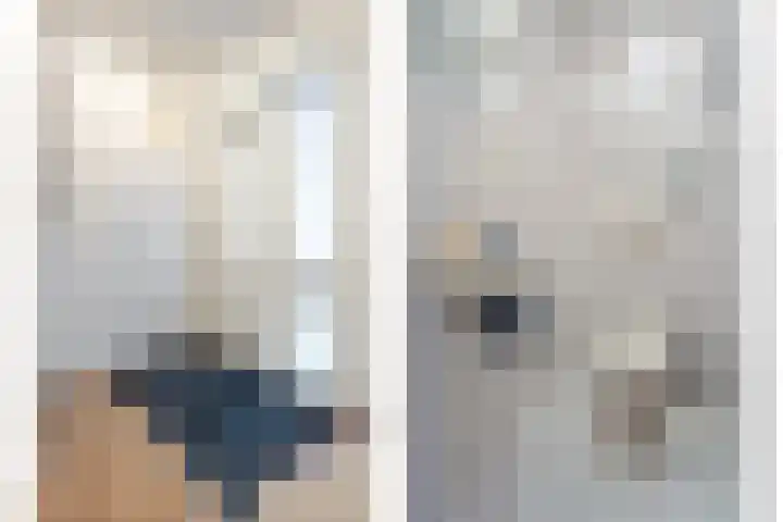Venkellaan 20 Wierden thumbnail 5