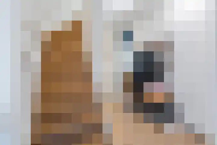 Venkellaan 20 Wierden thumbnail 6