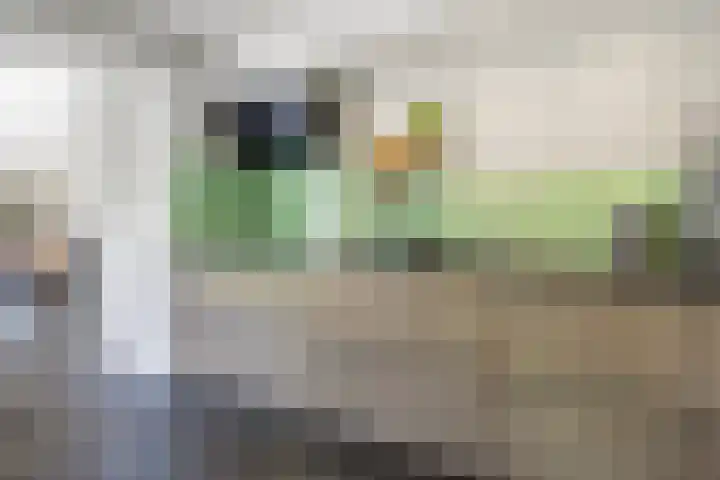 Venkelstraat 10 b Waalwijk thumbnail 12