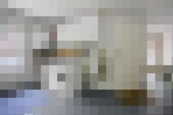 Venkelstraat 10 b Waalwijk thumbnail 16