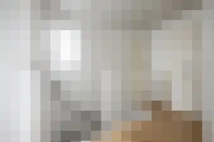Venkelstraat 10 b Waalwijk thumbnail 19