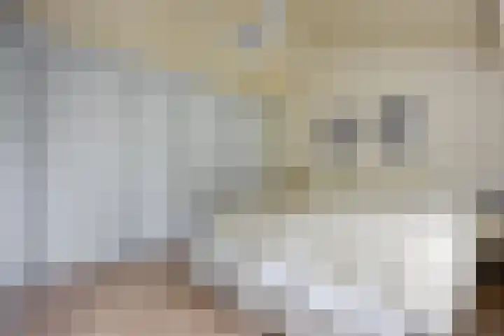 Venkelstraat 10 b Waalwijk thumbnail 20