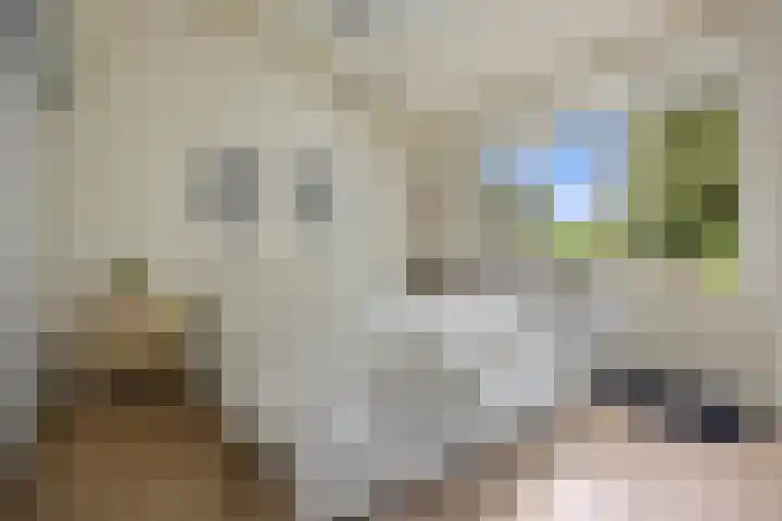 Venkelstraat 10 b Waalwijk thumbnail 21