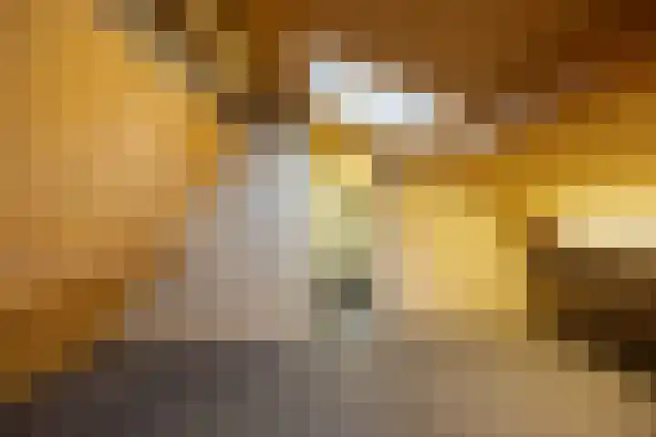 Venkelstraat 10 b Waalwijk thumbnail 32