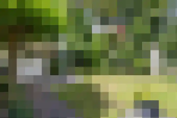 Venkelstraat 10 b Waalwijk thumbnail 4