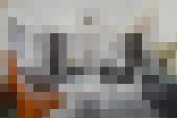 Venkelstraat 10 b Waalwijk thumbnail 9