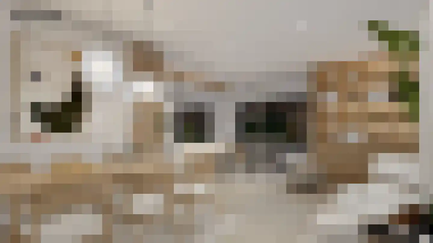 Venkelstraat 17 Goedereede thumbnail 17