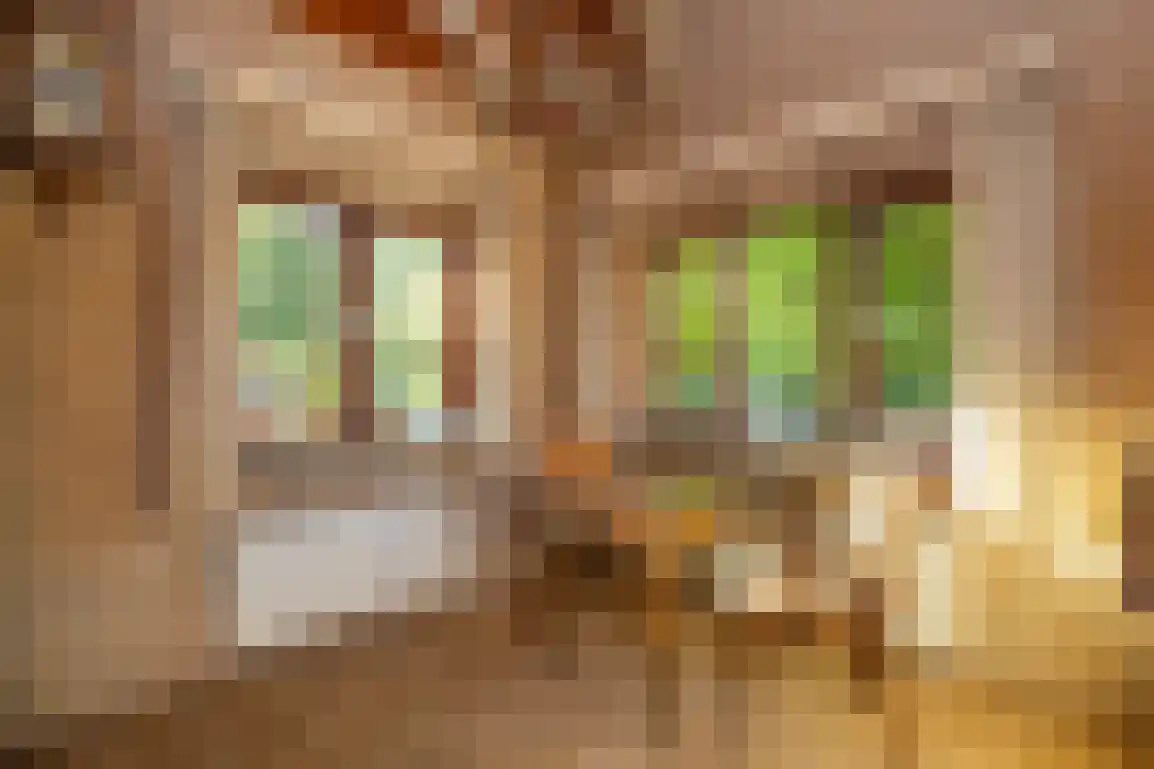 Venkelstraat 17 Goedereede thumbnail 22
