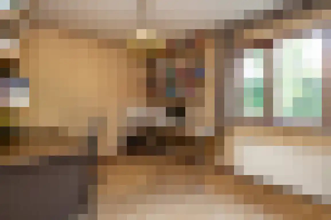 Venkelstraat 17 Goedereede thumbnail 27