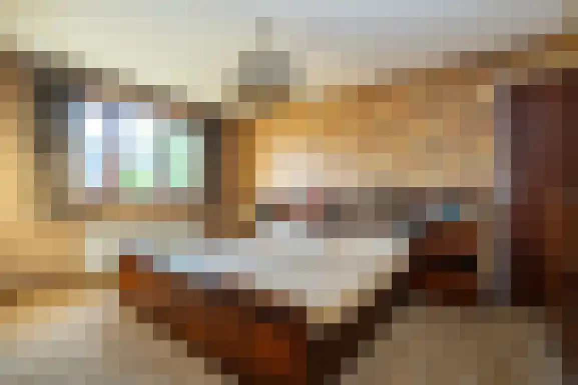 Venkelstraat 17 Goedereede thumbnail 31