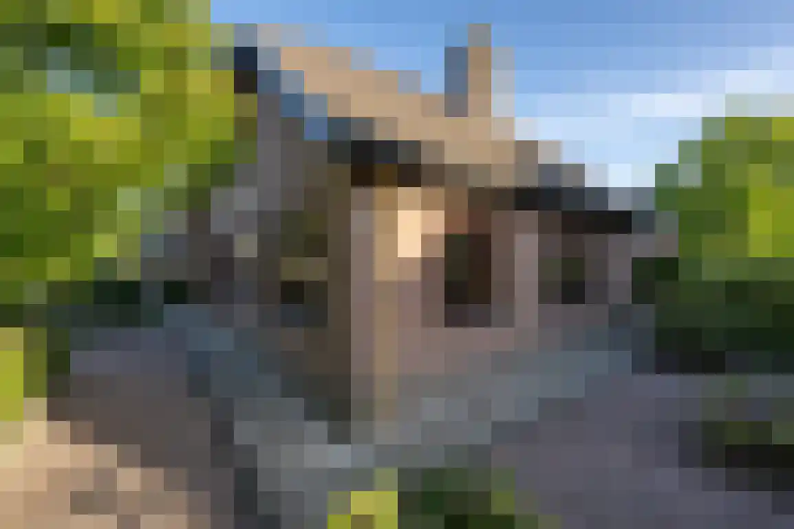 Venkelstraat 17 Goedereede thumbnail 43