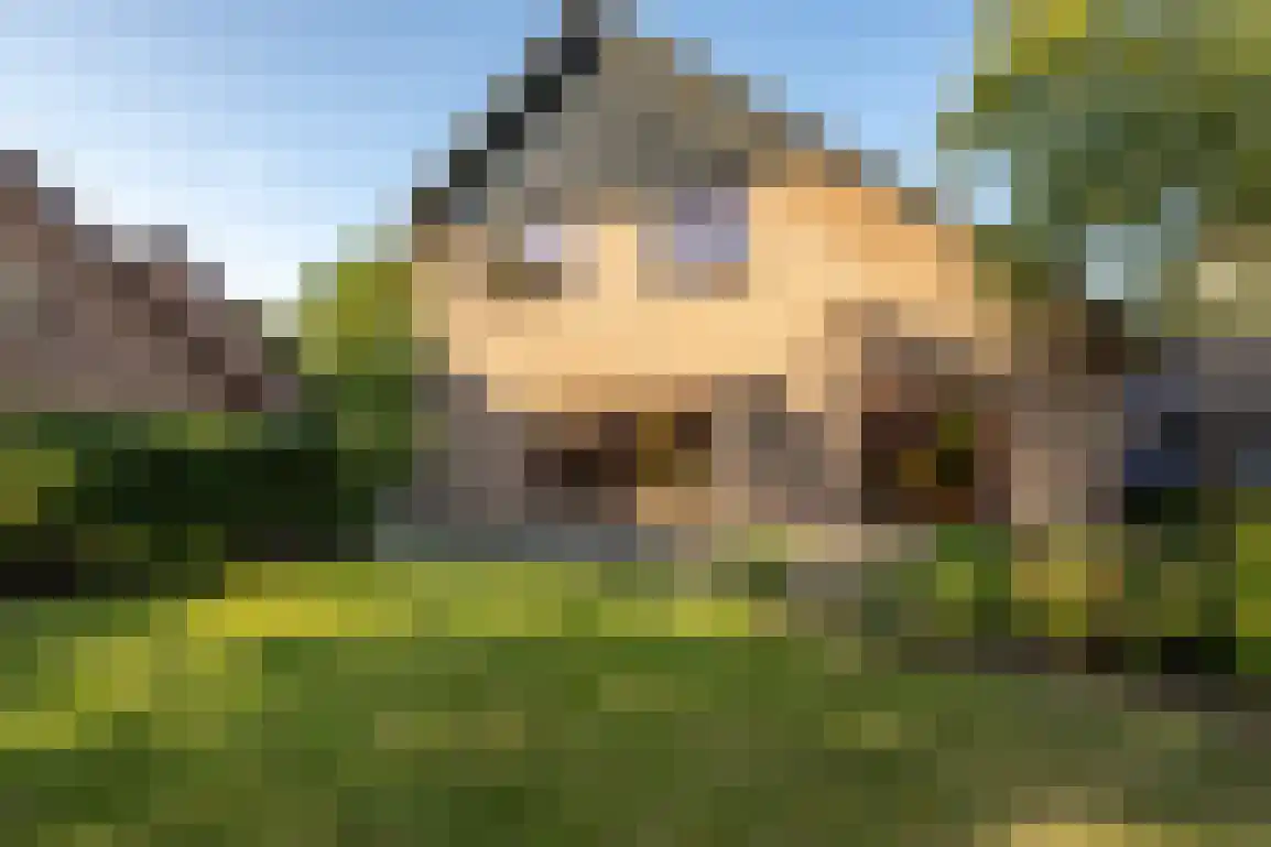 Venkelstraat 17 Goedereede thumbnail 6