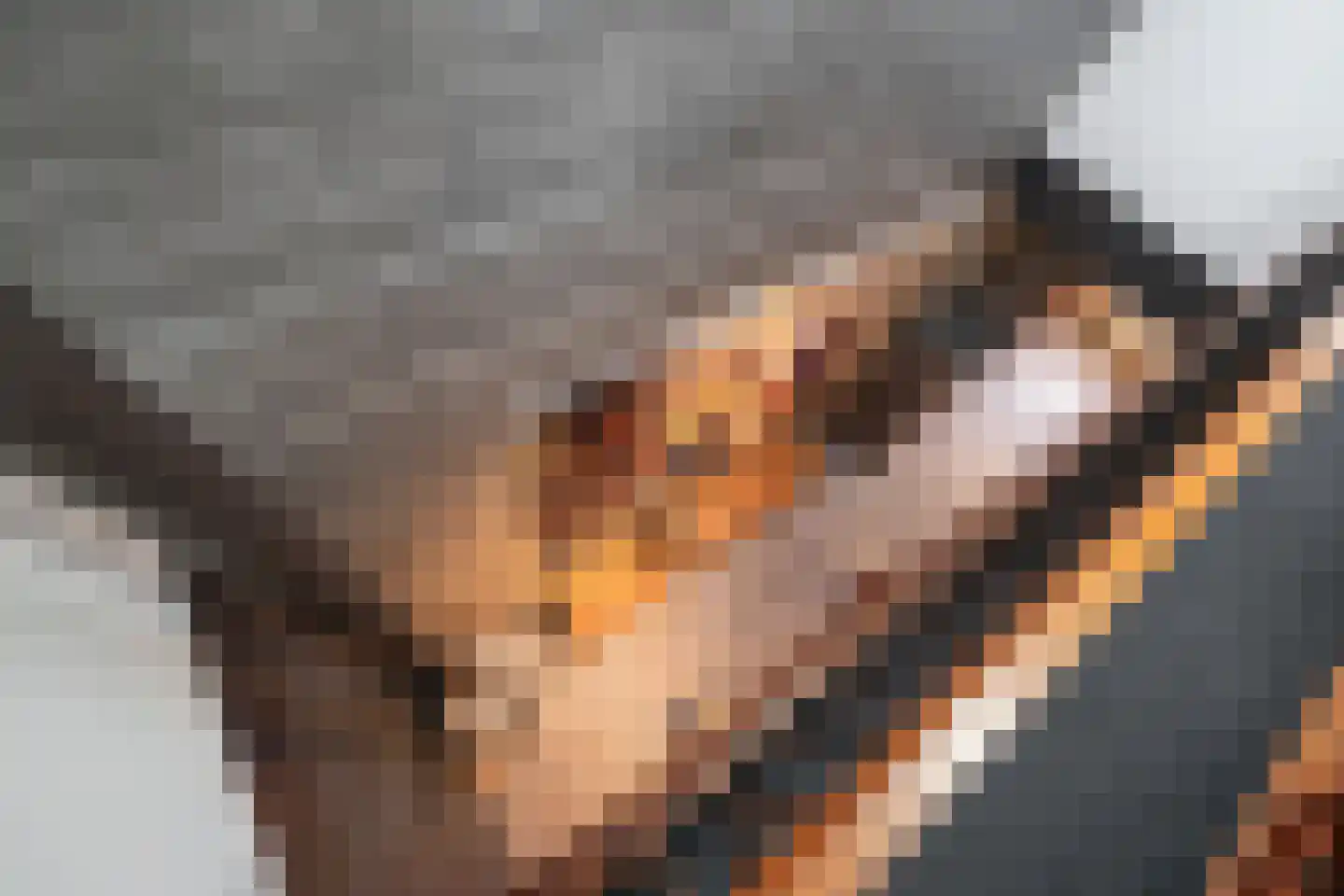 Venkelstraat 25 a Brielle thumbnail 32