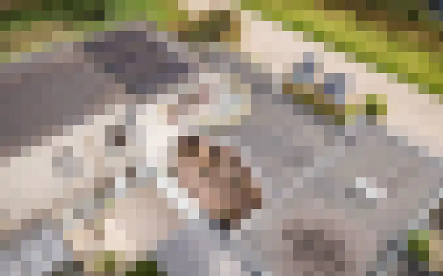 Venkelveld 1 Doetinchem thumbnail 27