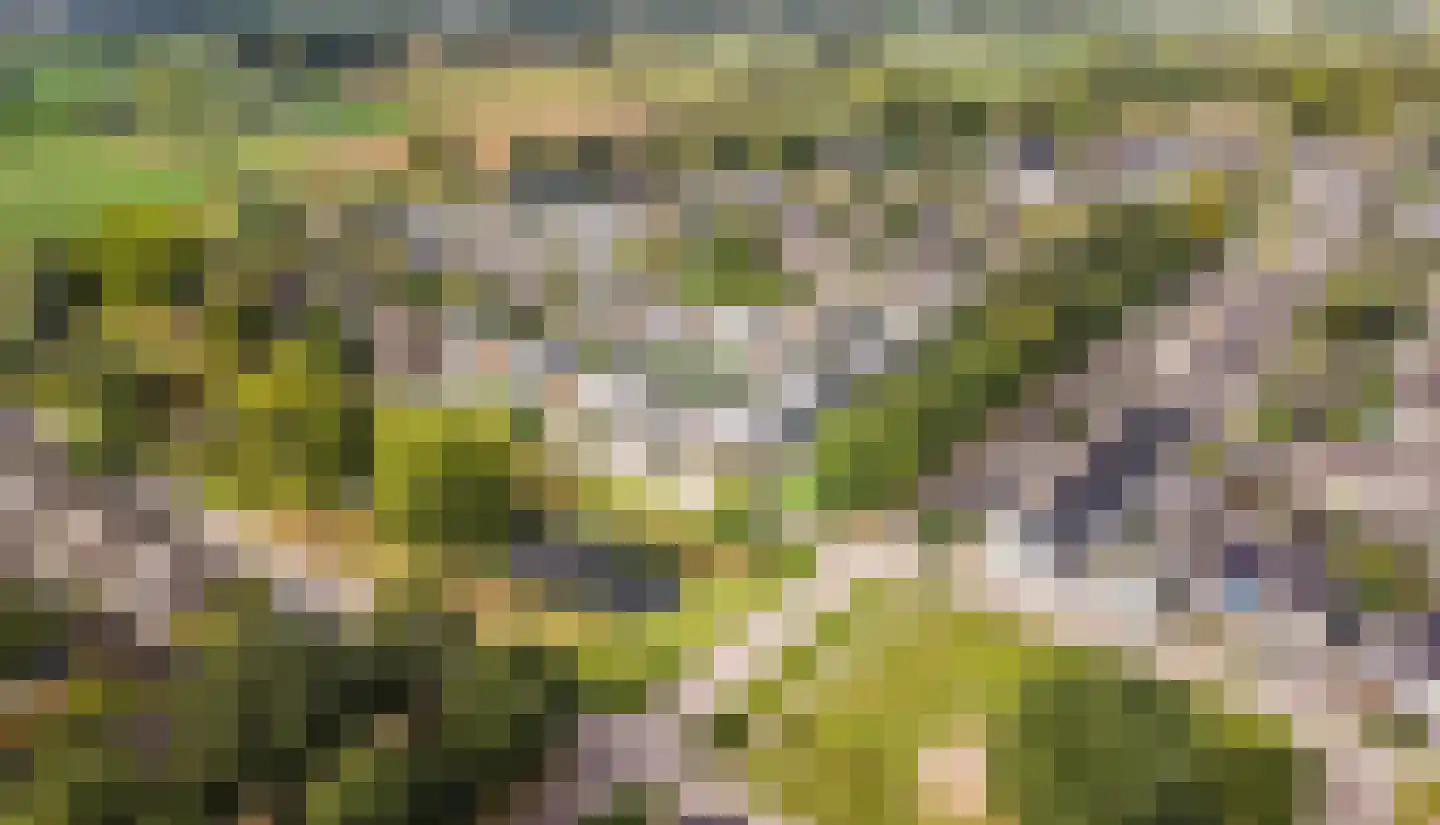 Venkelveld 1 Doetinchem thumbnail 34