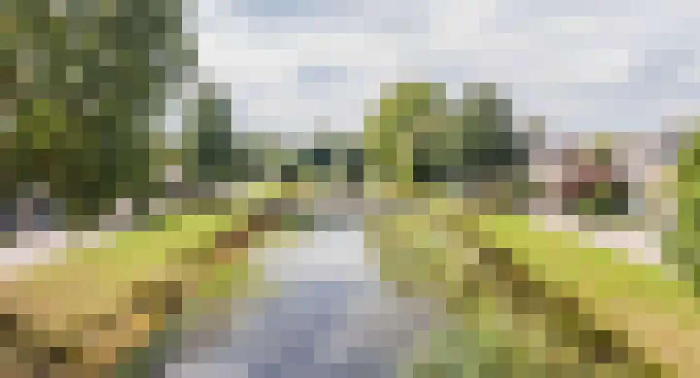 Venkelveld 1 Doetinchem thumbnail 35