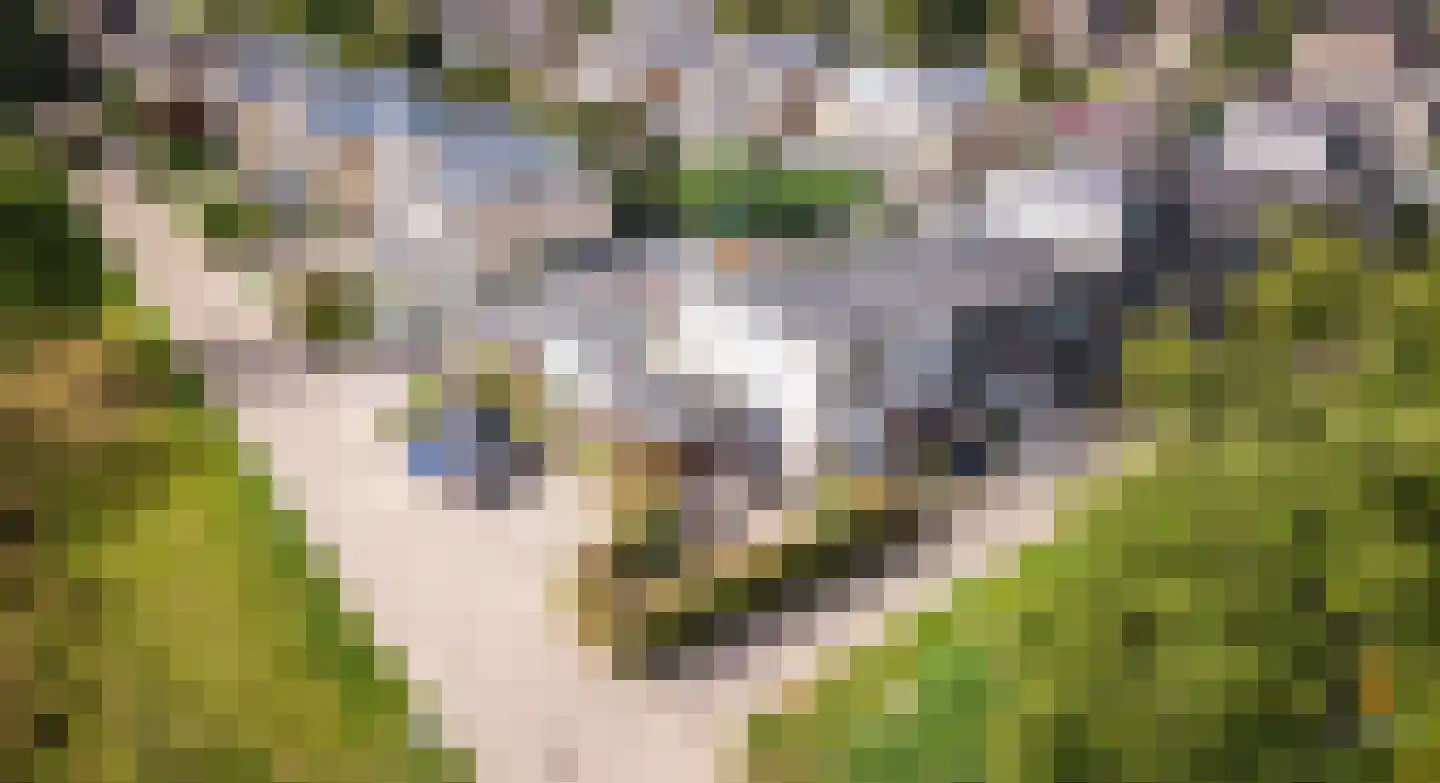 Venkelveld 1 Doetinchem thumbnail 4