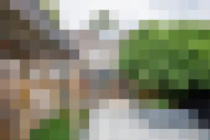 Venkelveld 35 Doetinchem thumbnail 17