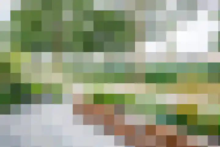 Venkelveld 35 Doetinchem thumbnail 39