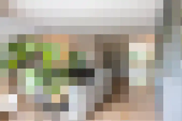 Venkelveld 4 Doetinchem thumbnail 11
