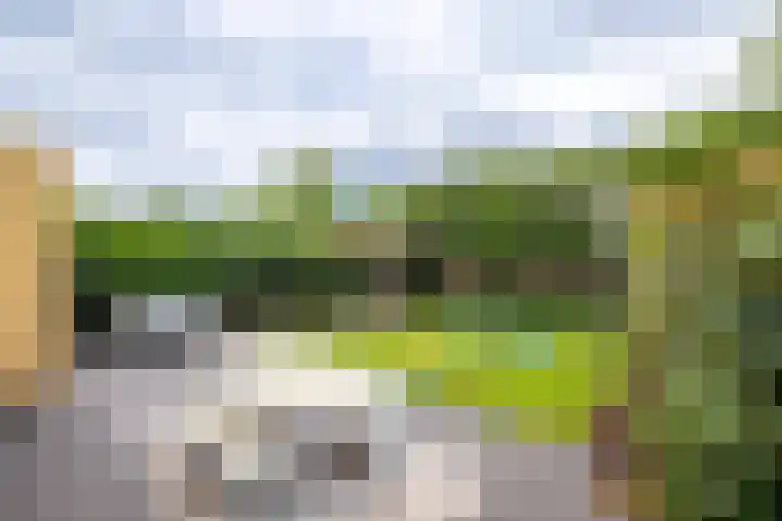 Venkelveld 4 Doetinchem thumbnail 26