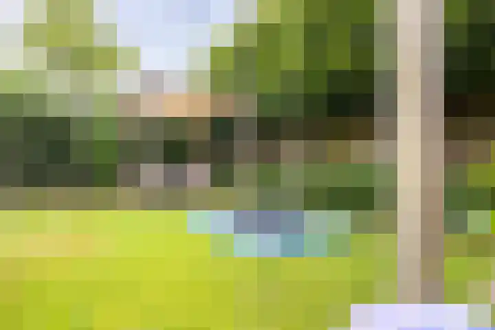 Venkelveld 4 Doetinchem thumbnail 28