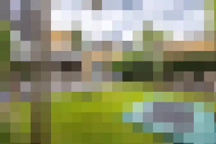 Venkelveld 4 Doetinchem thumbnail 30