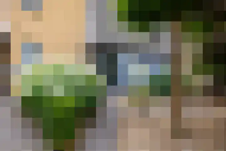 Venkelveld 4 Doetinchem thumbnail 32