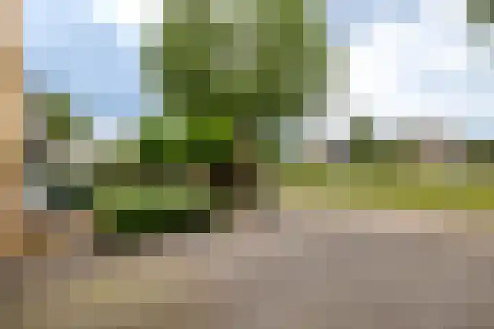 Venkelveld 4 Doetinchem thumbnail 59
