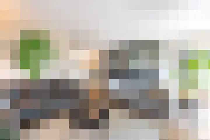Venkelveld 4 Doetinchem thumbnail 6
