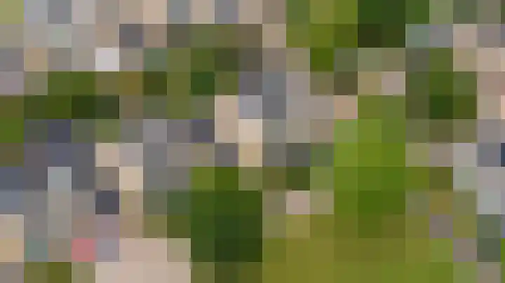 Venkelveld 4 Doetinchem thumbnail 61
