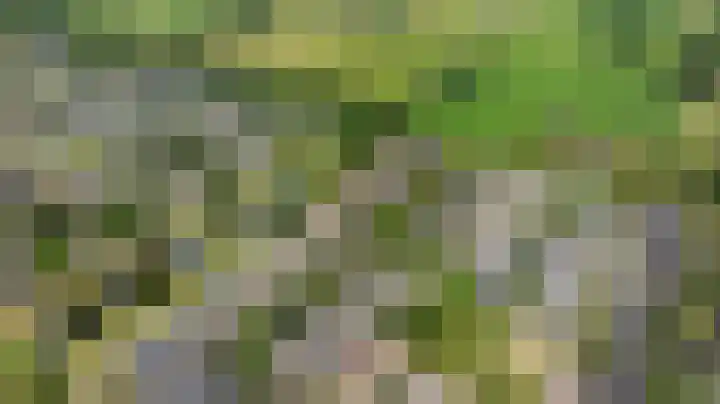 Venkelveld 4 Doetinchem thumbnail 63