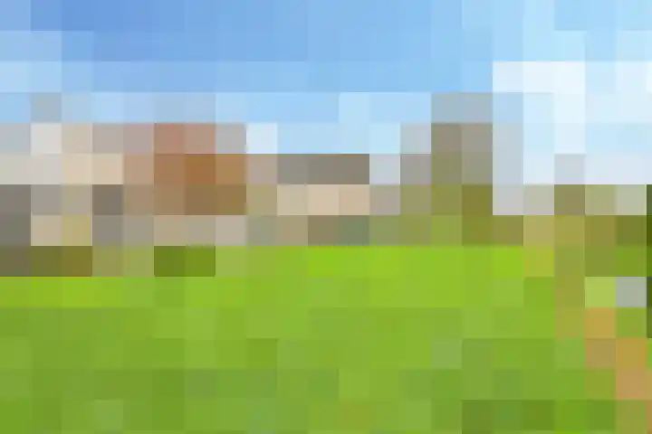 Venkelveld 44 Doetinchem thumbnail 4