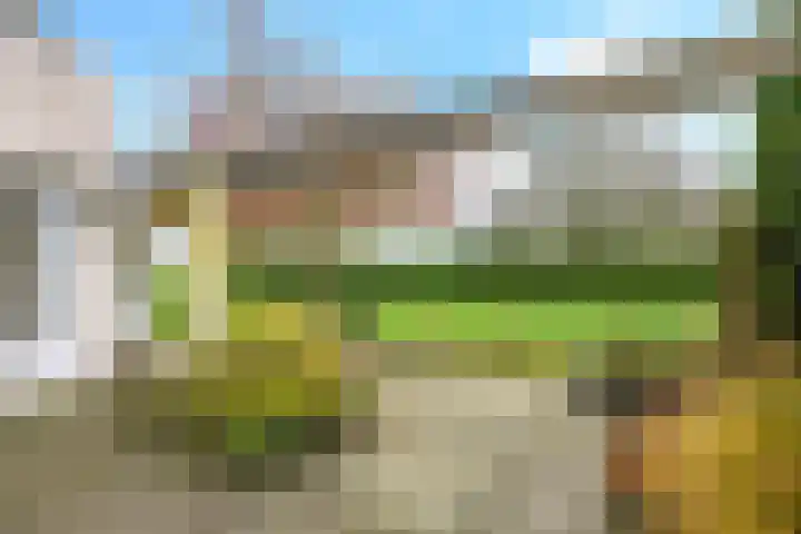 Venkelveld 44 Doetinchem thumbnail 55