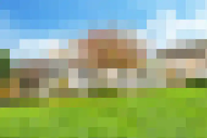 Venkelveld 44 Doetinchem thumbnail 57