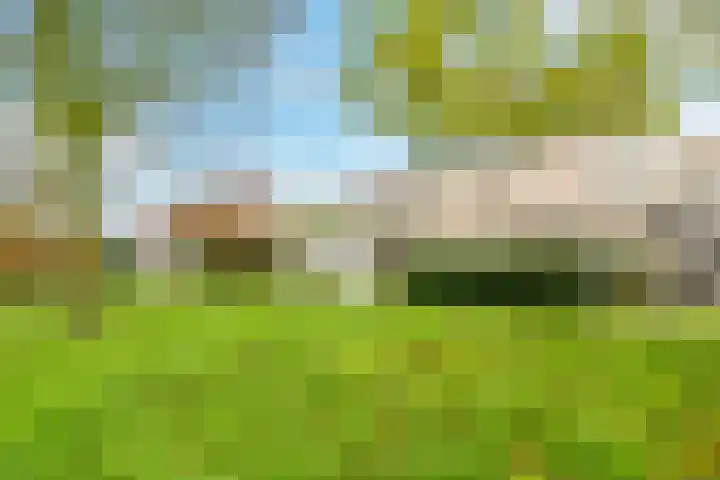 Venkelveld 44 Doetinchem thumbnail 58