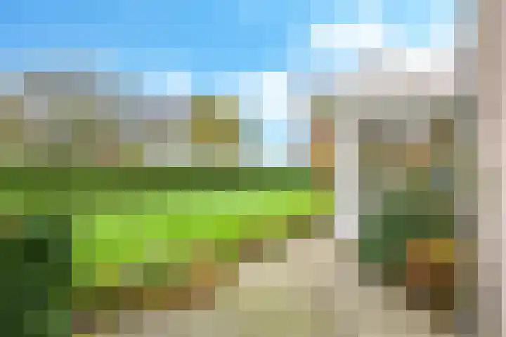 Venkelveld 44 Doetinchem thumbnail 6
